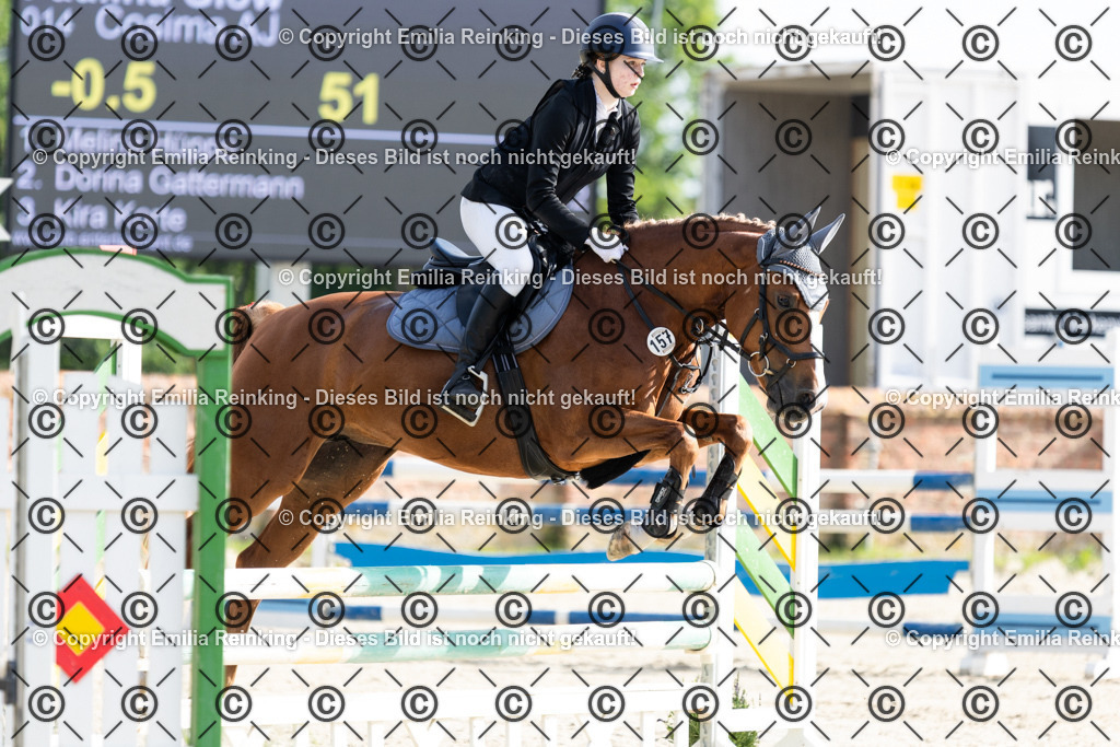 CL5A6171 | Emilia Reinking Fotografie - Realisiert mit Pictrs.com