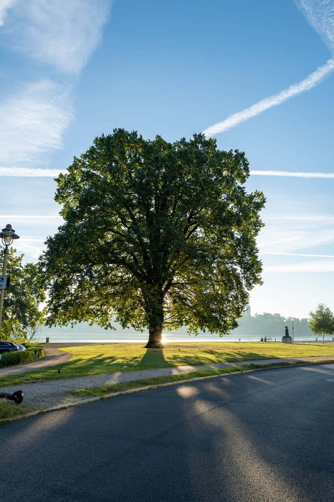 Potsdam (13) | hgt-foto