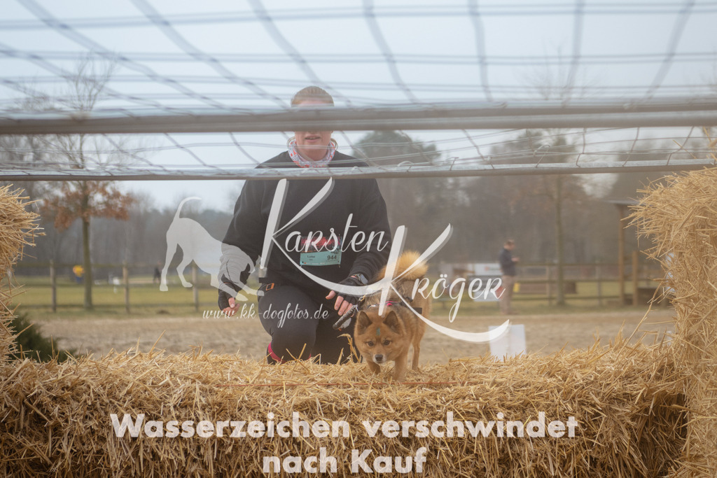 0948_ZZ99876 | kk-dogfotos
