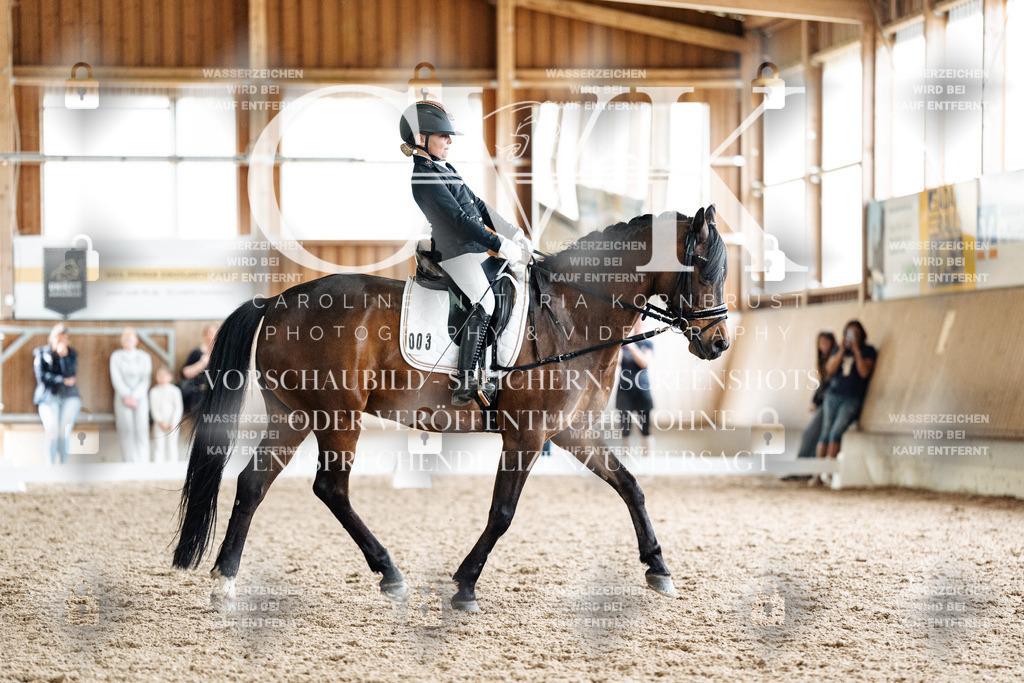CK901644 | Turnierfotografie Pferdefotografie Trier Rheinland-Pfalz Pferdesport Reitsport Tierfotografie Sportfotografie Pferdevideo Pferdevideografie Equestrianvideography equestrianphotography  - Realisiert mit Pictrs.com