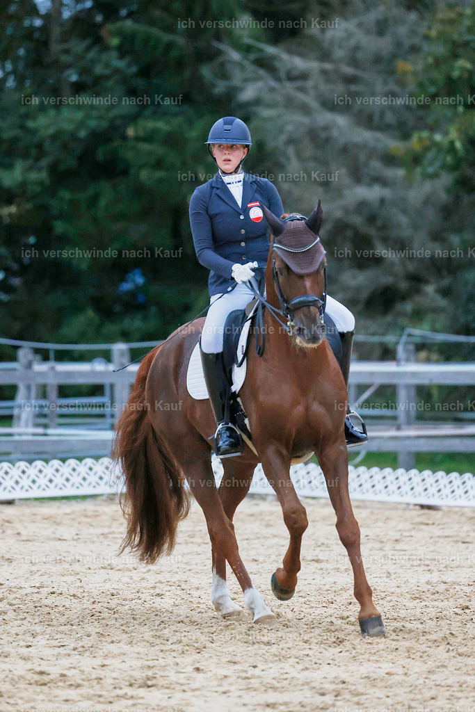 04_2-227-Dressur M__ -StoibPH-3012 | working equitationturnier fotograf videograf stoibphotography marixx film working equitation deutschland reitsport turnierfotografie eventfotografie equestrian events