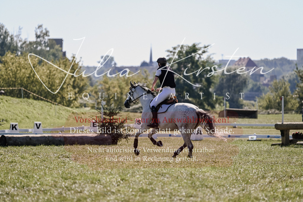 DSC_2878 | Pferde- und Turnierfotografie in Westsachsen. Pferdeportraits, Auftragszeichnungen und intuitive Kunst.