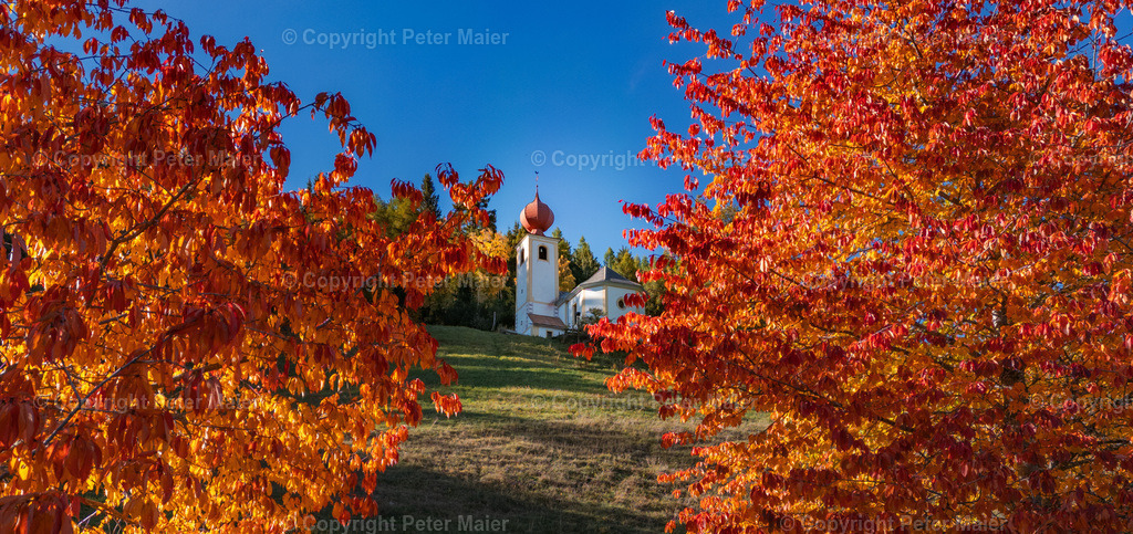 Winklern_Herbst_22-7 | piet_flosse