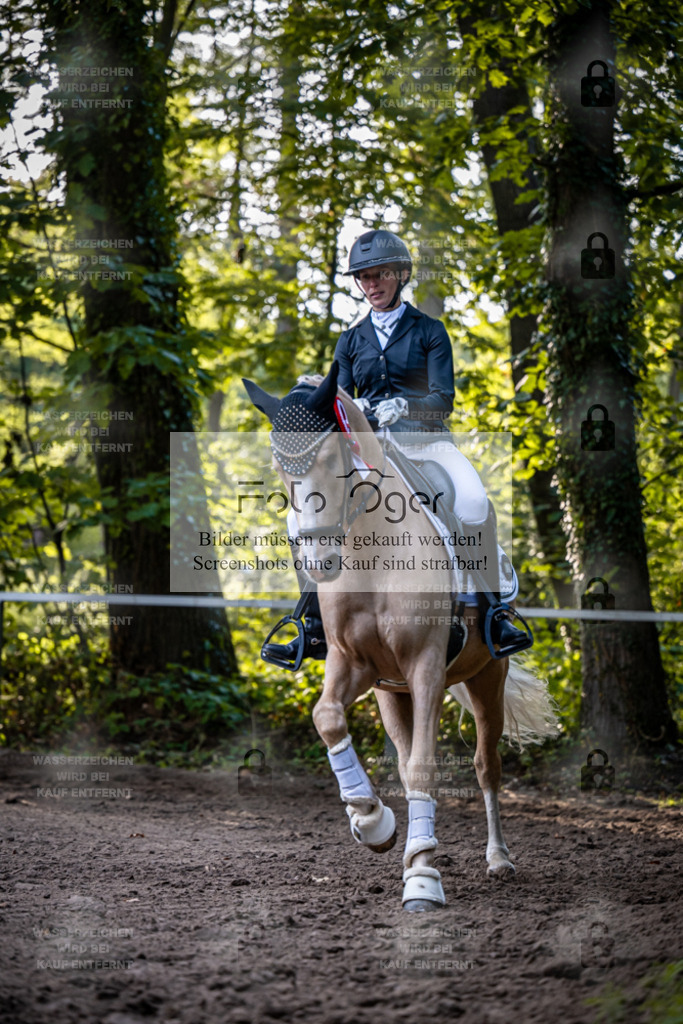 2026-10-Helle-14-0031 | Entdecke hochwertige Reitturnierfotos von Foto Oger. Professionell, emotional und authentisch – jetzt Lieblingsmomente im Shop bestellen.Deutschlandweite Turnierfotografie. - Realisiert mit Pictrs.com