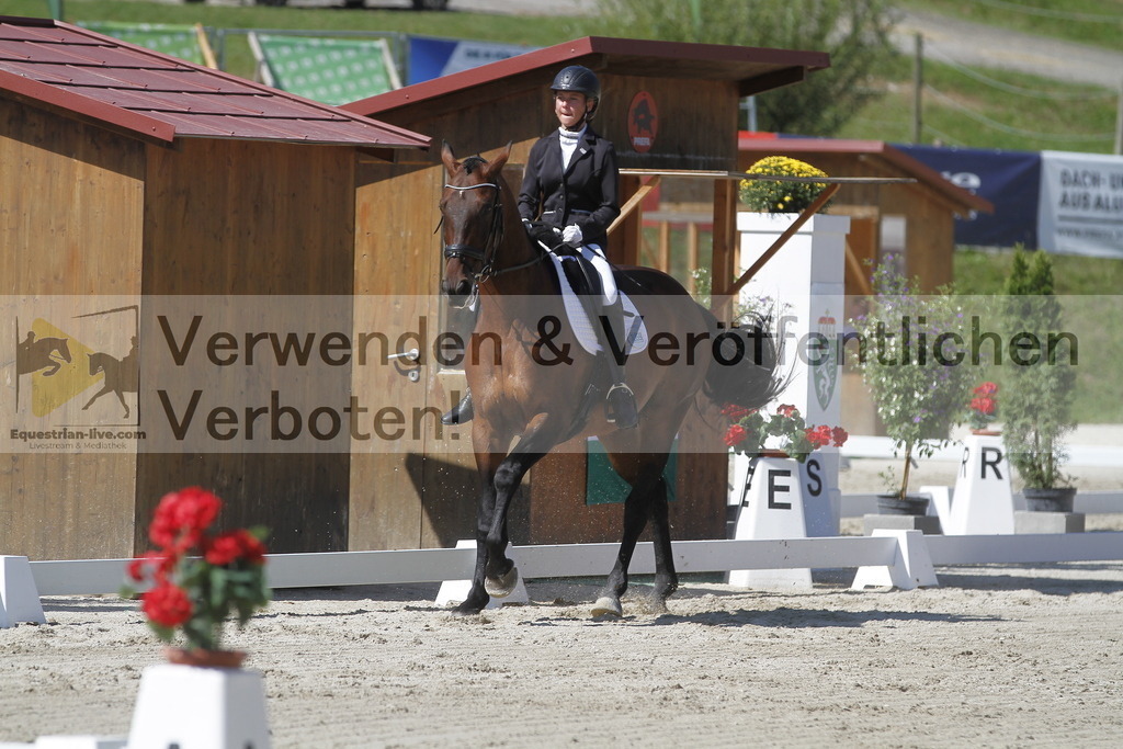 _MG_0626 | equestrian-live-com