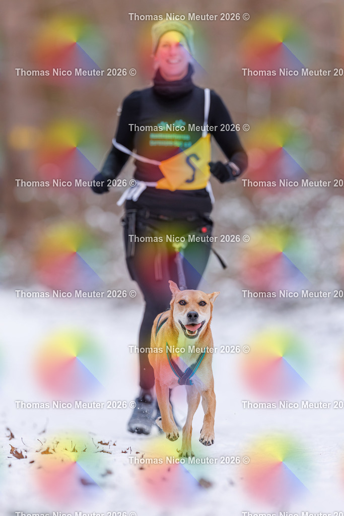 Thomas_Nico_Meuter(C)_223A8029 | Bild von Thomas Nico Meuter - Realisiert mit Pictrs.com