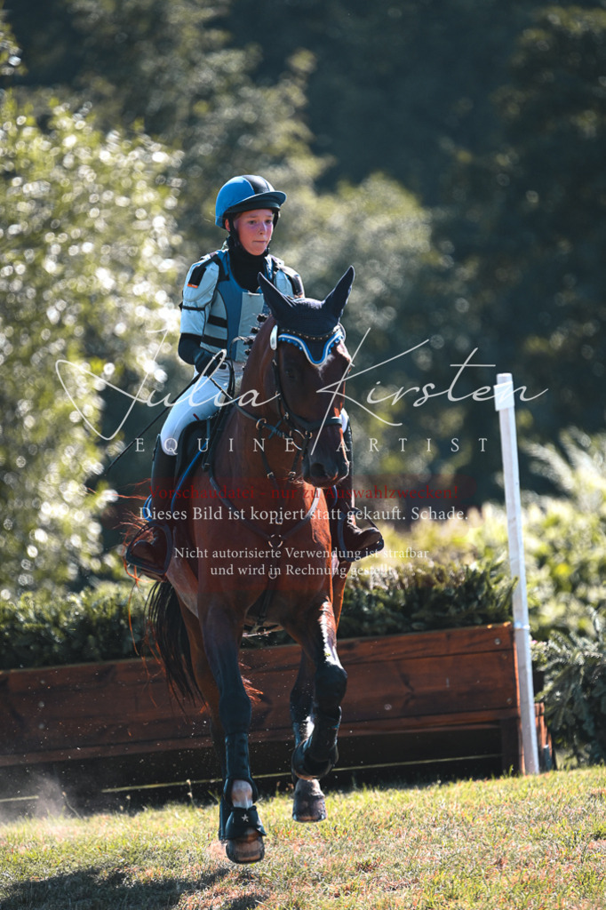 DSC_8066 | Pferde- und Turnierfotografie in Westsachsen. Pferdeportraits, Auftragszeichnungen und intuitive Kunst.