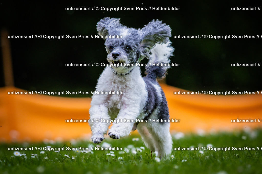 Sven Pries | 2025-05-29 - Pudelrennen KA-Durlach - Realisiert mit Pictrs.com