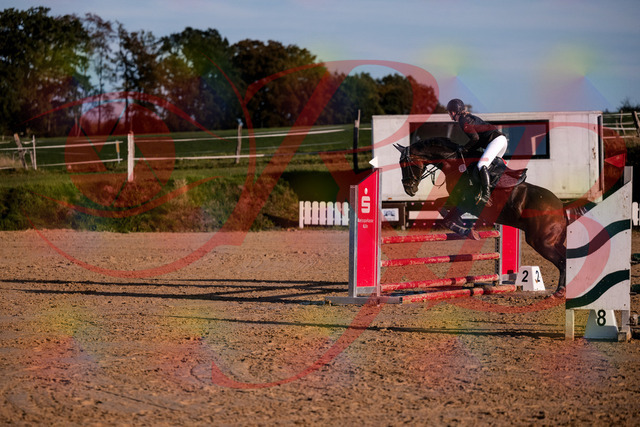 2026_10_03_Siefer-Hof_171851_Z81_16648604 | Professionelle Reitsport-, Turnier- und Eventfotografie von Robert Broda. Galerien mit ausgewählten und bearbeiteten Bildern direkt online ansehen und bestellen.