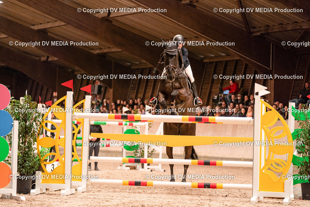 Springen Tag 3-511 | dv-media-shop - Realisiert mit Pictrs.com