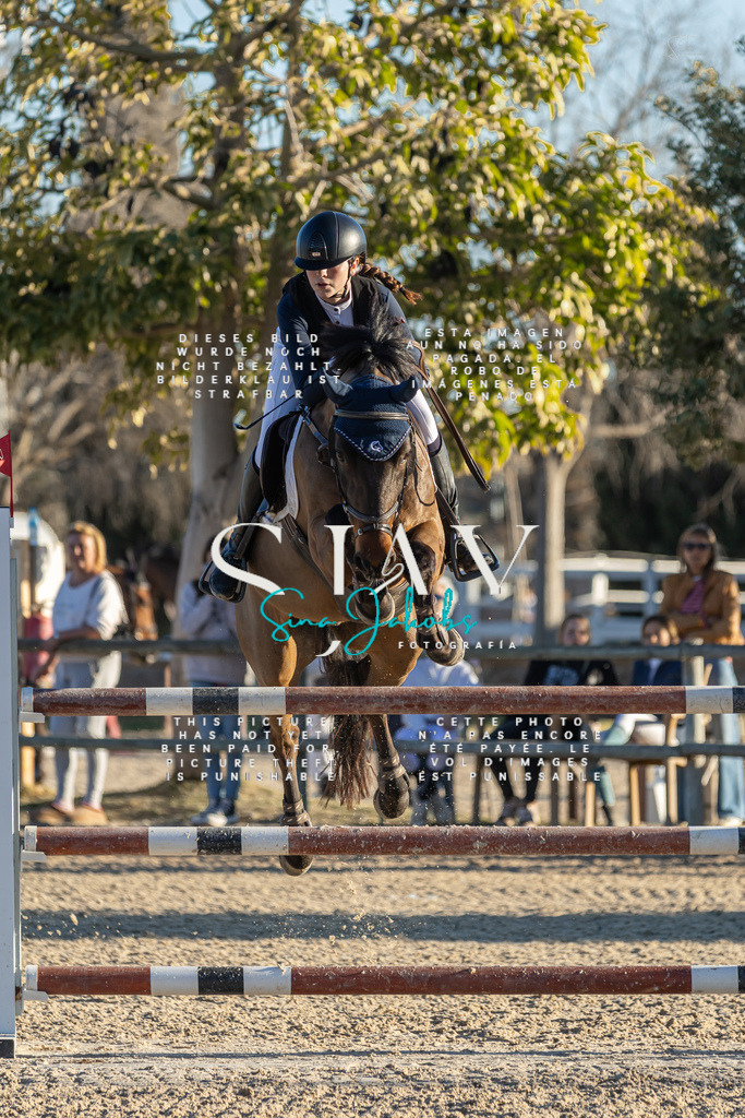 IMG_2448 | s-jay-photography - Realisiert mit Pictrs.com