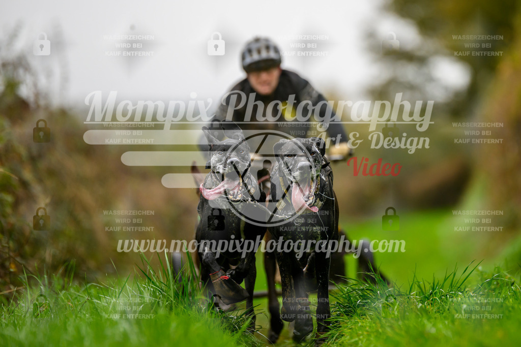 MompixPhotography_20TSB_E8_Kart-18 | PayLife