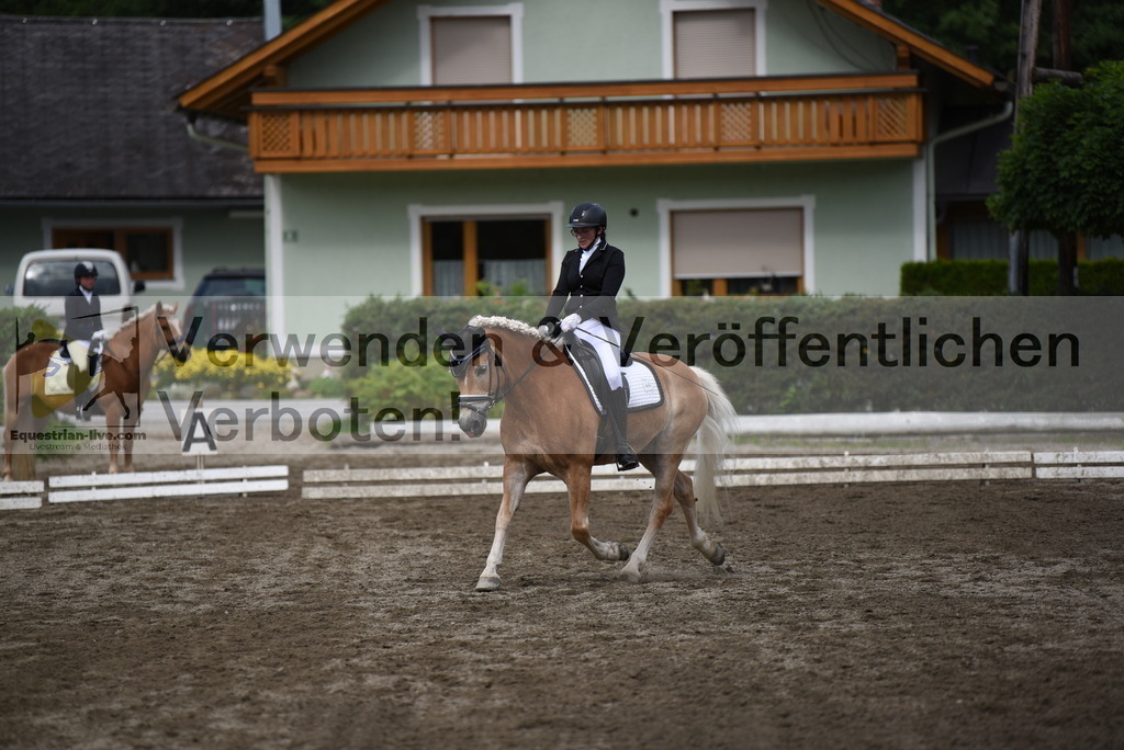 DSC_5077 | equestrian-live-com