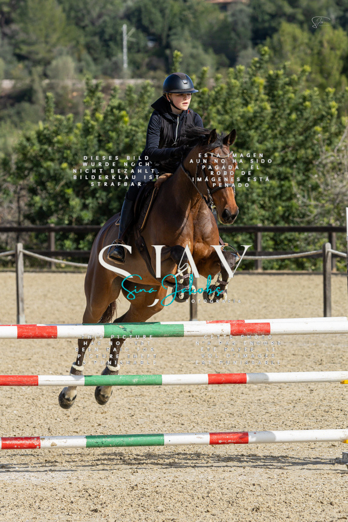 IMG_4570 | s-jay-photography - Realisiert mit Pictrs.com