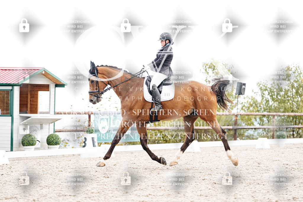 CK900805 | Turnierfotografie Pferdefotografie Trier Rheinland-Pfalz Pferdesport Reitsport Tierfotografie Sportfotografie Pferdevideo Pferdevideografie Equestrianvideography equestrianphotography  - Realisiert mit Pictrs.com