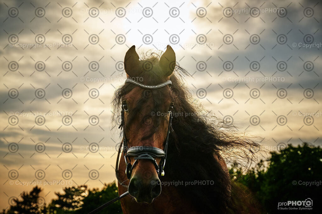 057_202406_Niki-Herodes_NZ9_9744 | proPHOTO - Realisiert mit Pictrs.com