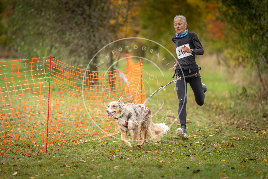 Pfotenfotografie_DV3A4167 | Hundefotografie, Tierfotograf, Pfotenfotografie, Fotoshooting Hund, Hunde Portrait, Hundesport, Hundeportraits, Heideshooting, Hunde, Sportfotograf, Hundefotograf, Turnierhundsport, THS,  - Realisiert mit Pictrs.com