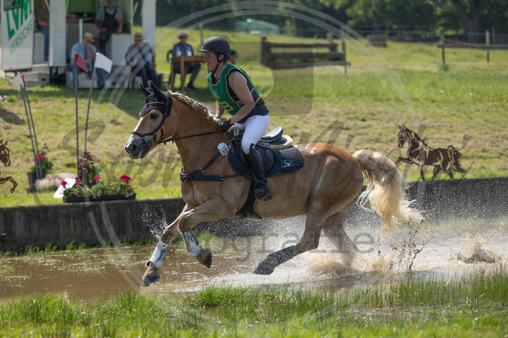 994A1295 | sabrinanicolaifotografie - Realisiert mit Pictrs.com