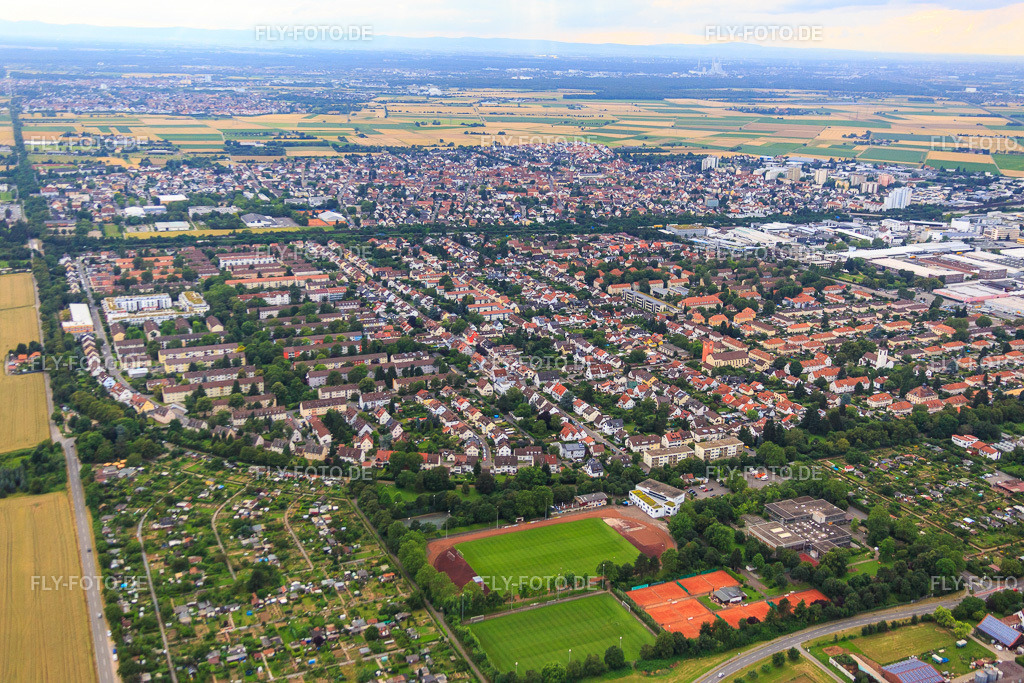 Steinhofweg von Osten | Luftbild: Steinhofweg von Osten im Ortsteil Pfaffengrund in Heidelberg im Bundesland Baden-Württemberg in Deutschland. Foto: IMG_090825.jpg vom 04.07.2016 durch Werner Riehm/FLY-FOTO.de - Realisiert mit Pictrs.com