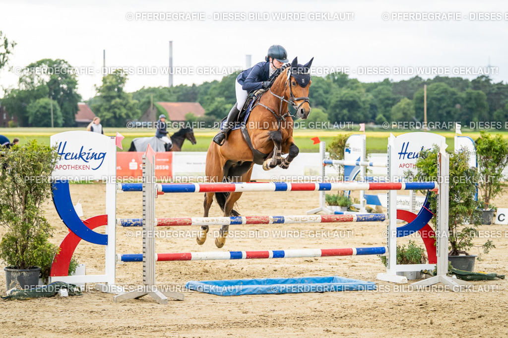 DSC06845 | Pferdegrafie