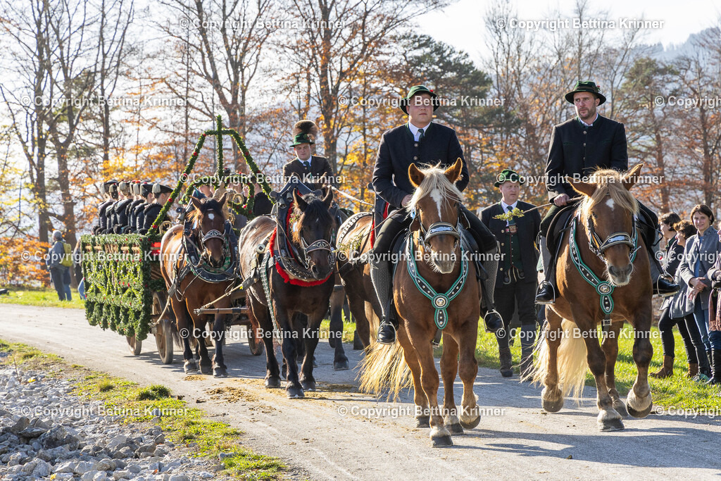 LBT24-1496 | foto-bettina-krinner - Realisiert mit Pictrs.com