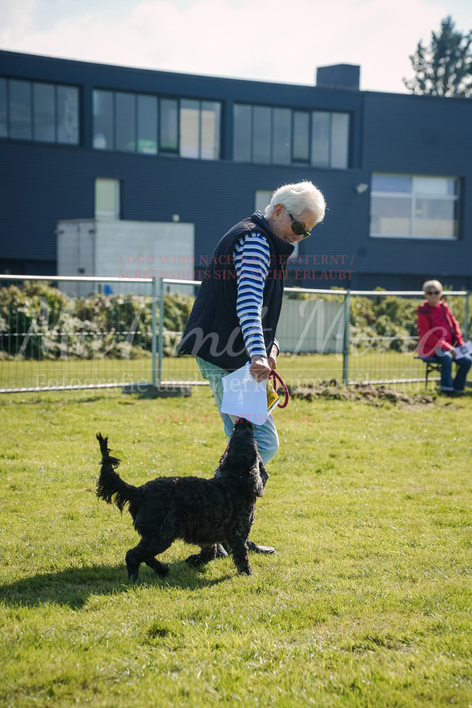 20250928_Hunderennen-744 | MuT (Mensch und Tier) mit Mona - Fotografie und Tierkommunikation - Realisiert mit Pictrs.com