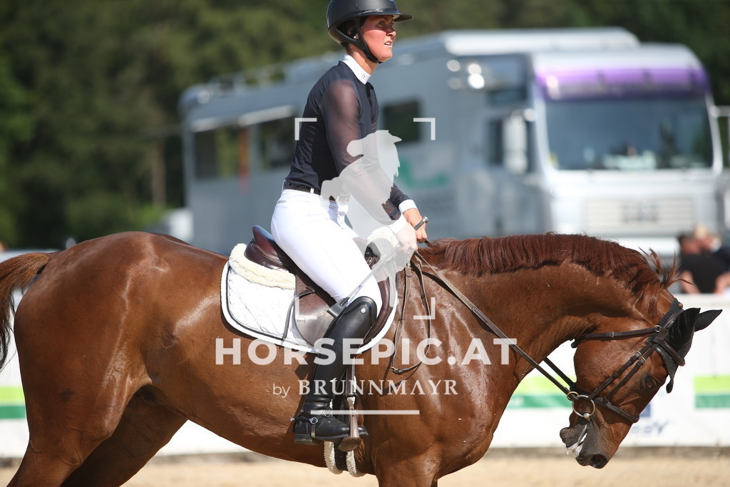 PP015974 | Willkommen bei Brunnmayr - Design & Fotografie – Ihrem Spezialisten für Reitturniere und Pferdeveranstaltungen in Oberösterreich, Salzburg und Bayern! Seit über 17 Jahren sind wir leidenschaftlich dabei.