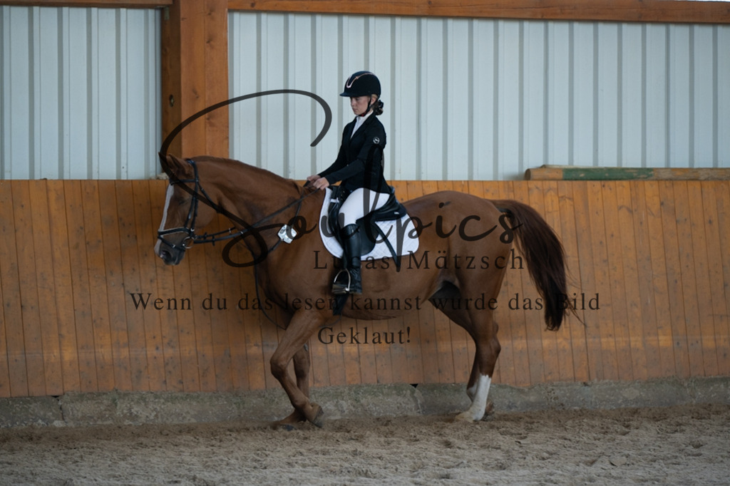 A7V02052 | Turnier/Reitfotograf