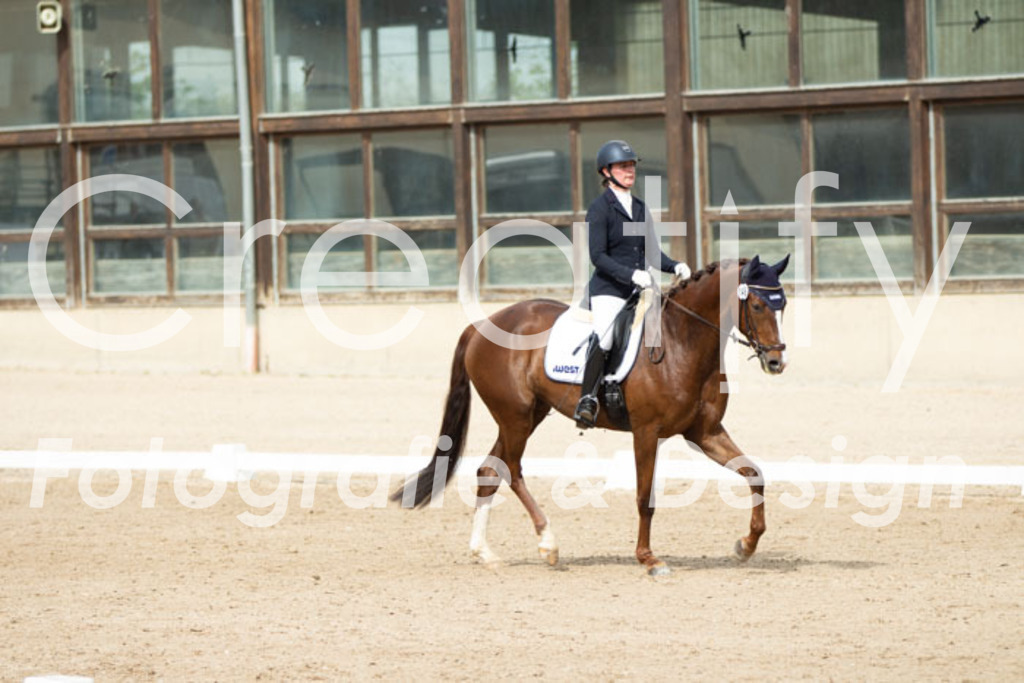 IMG_1600 | Creatify Fotografie