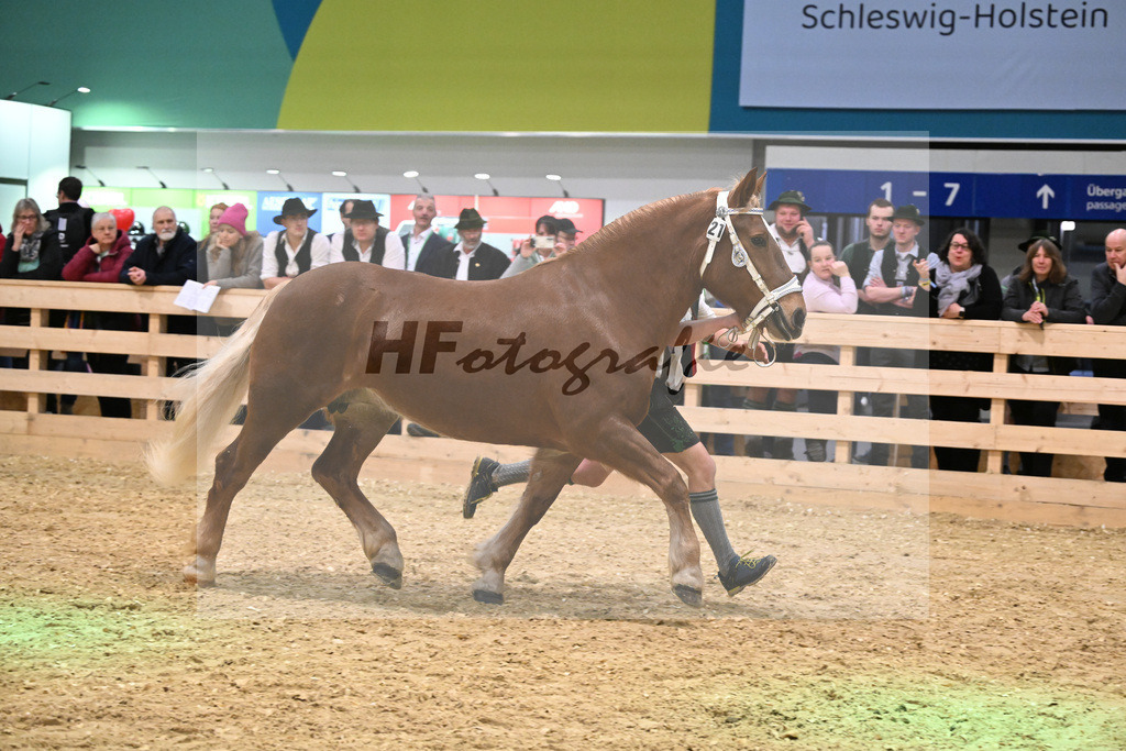Kat-Nr. 21 Heleni v. Sultan_Hoeck_1260317 | hf-fotografie - Realisiert mit Pictrs.com