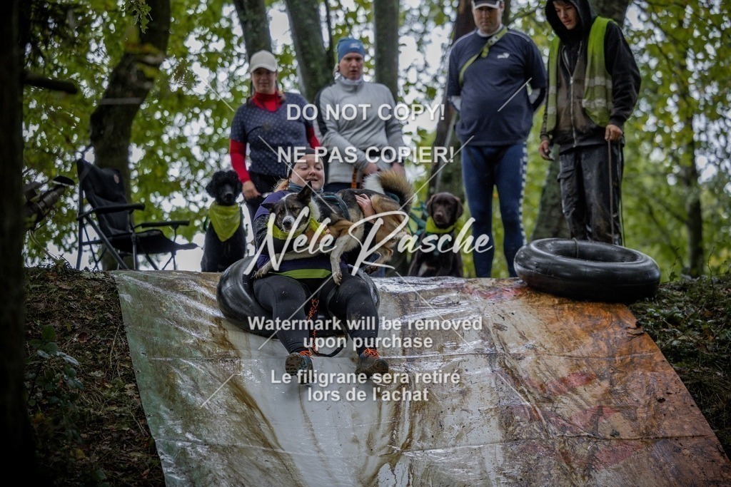 nelerasche_Hunsrück_Sa1430-1500_158-final | nelerasche