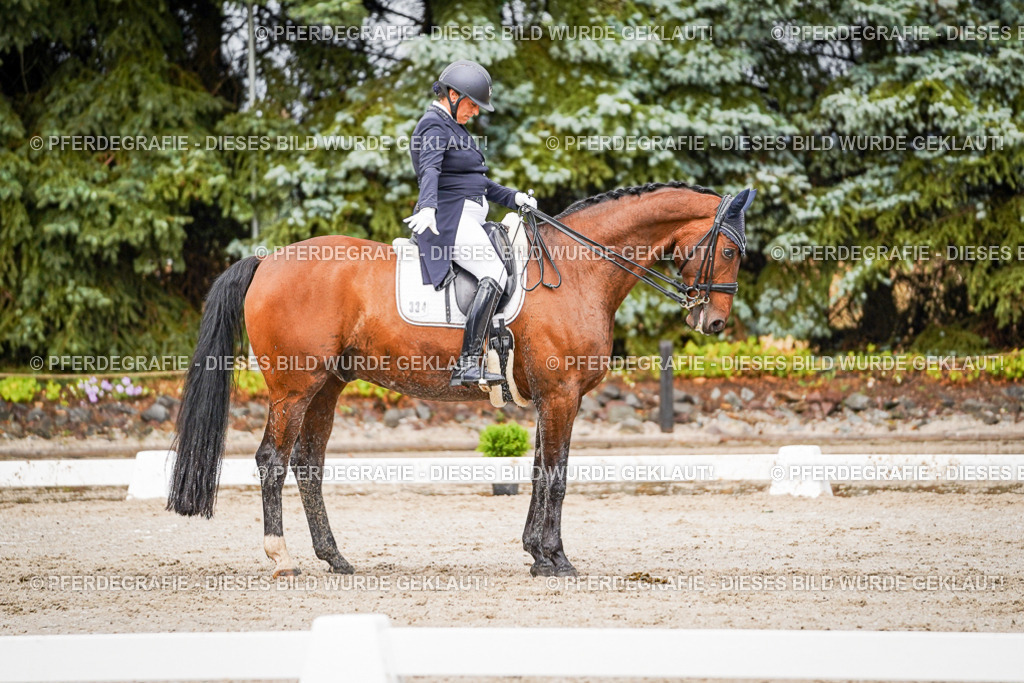 DSC09777 | Pferdegrafie