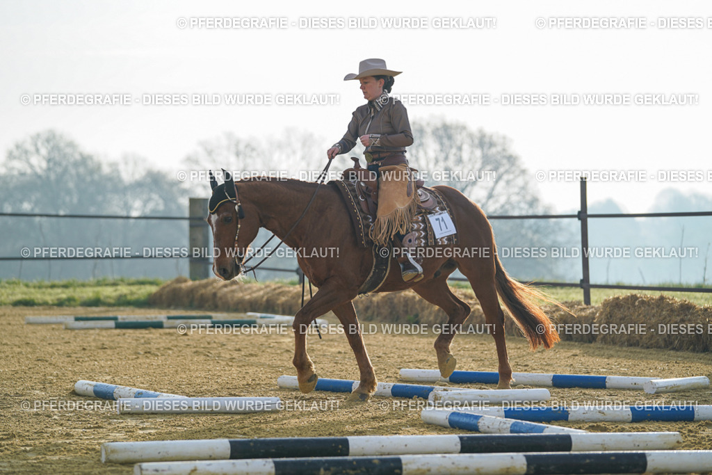 DSC09771 | Pferdegrafie