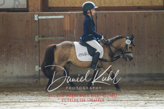 DKP44980 | Turniersportfotografie; Pferdefotografie; Dressurfotografie