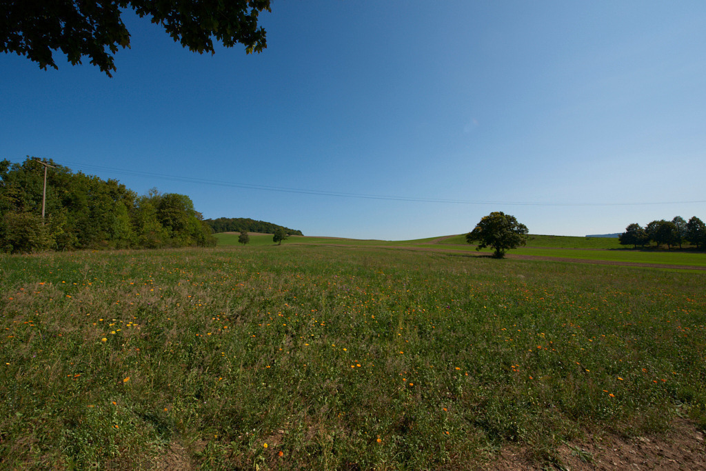 Blick südlich von Wildenfels nach Osten 01 | Bedeutsame Landschaften Deutschlands - Realisiert mit Pictrs.com