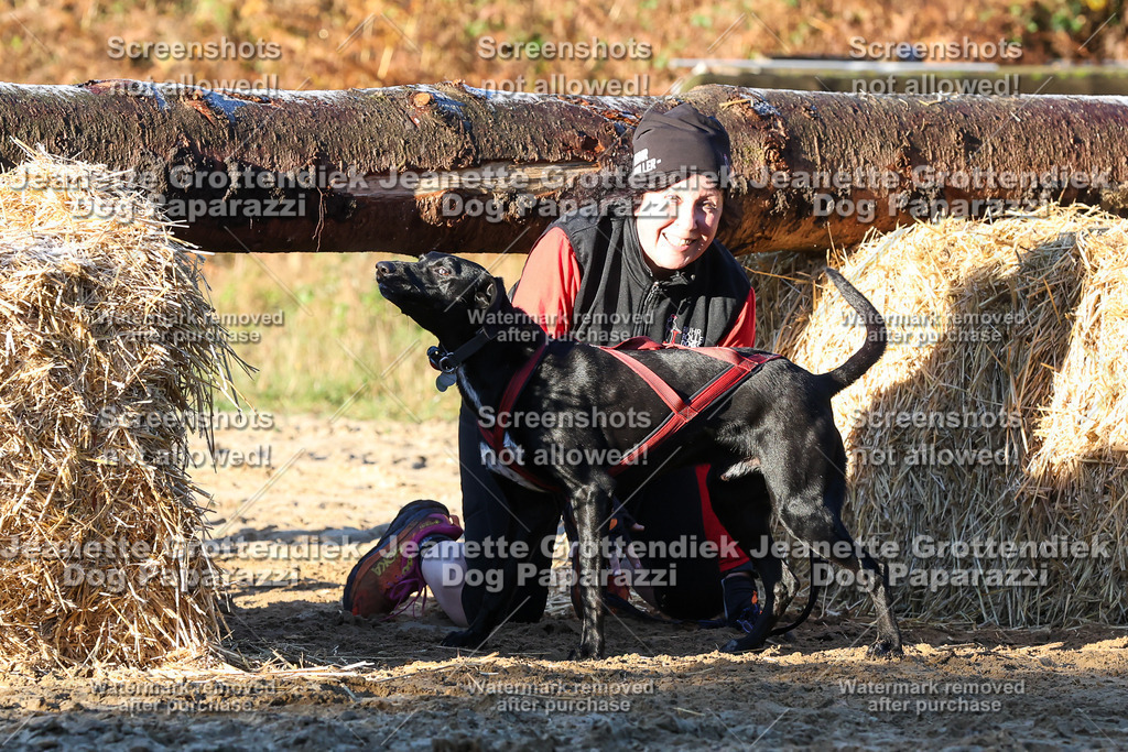 Dog Paparazzi - Strongdog 10-25-821 | Dog Paparazzi Jeanette Grottendiek Fotografie & Videografie - Realisiert mit Pictrs.com