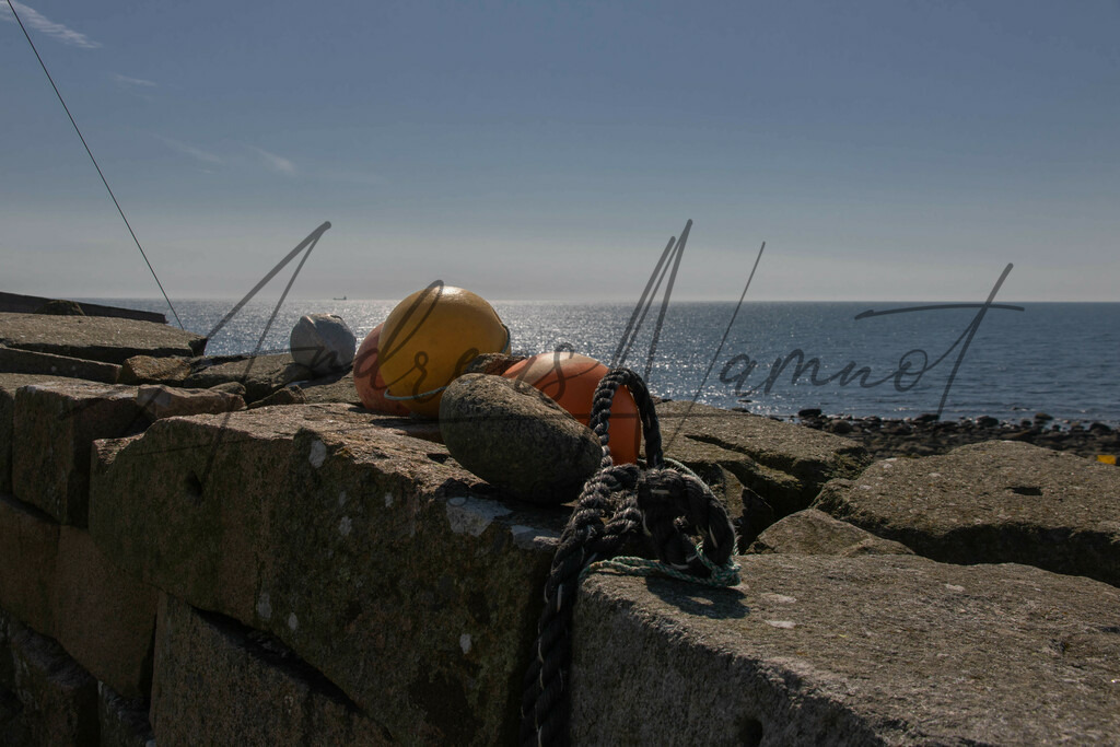 IMG_8888 | Andreas Namnot Fotografie, ein Leben in Bildern - Realisiert mit Pictrs.com