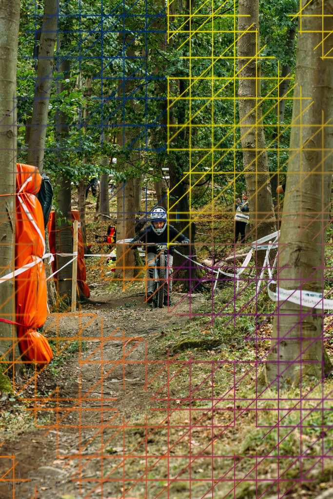PAE-0342 | Einzigartige Fotokunst für dein Zuhause: Entdecke hochwertige Wandbilder, edle Prints und emotionale Motive von Wildlife, Natur und Landschaften - Realisiert mit Pictrs.com