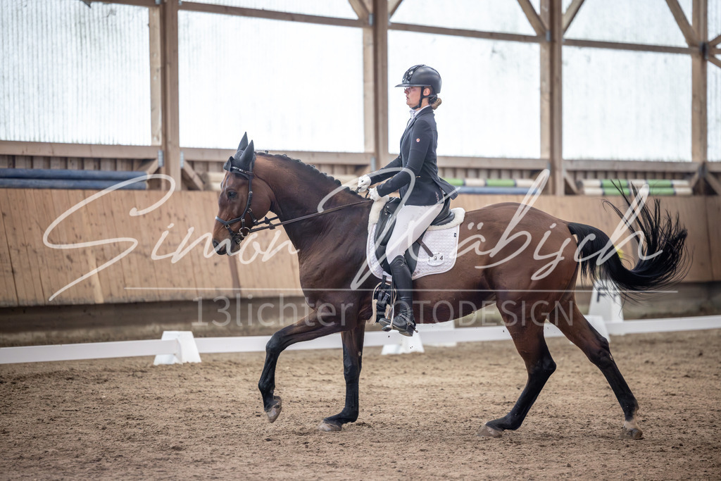 20251011-_3LI9994 | Tierfotografie Pferde, Hunde, Katzen, Haustiere.
Turnierfotografie Reitturniere, Reiten, Springreiten, Dressur in Hanau, dem Main-Kinzig-Kreis und dem Rhein-Main- Gebiet um Frankfurt