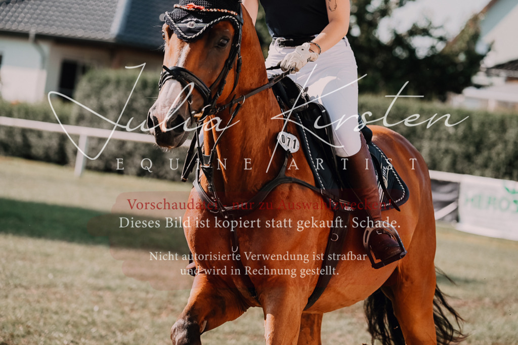 DSC_4658 | Pferde- und Turnierfotografie in Westsachsen. Pferdeportraits, Auftragszeichnungen und intuitive Kunst.