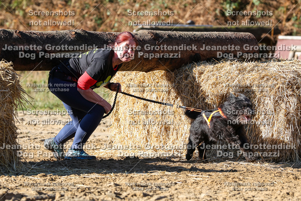 Dog Paparazzi - Strongdog 10-25-2260 | Dog Paparazzi Jeanette Grottendiek Fotografie & Videografie - Realisiert mit Pictrs.com
