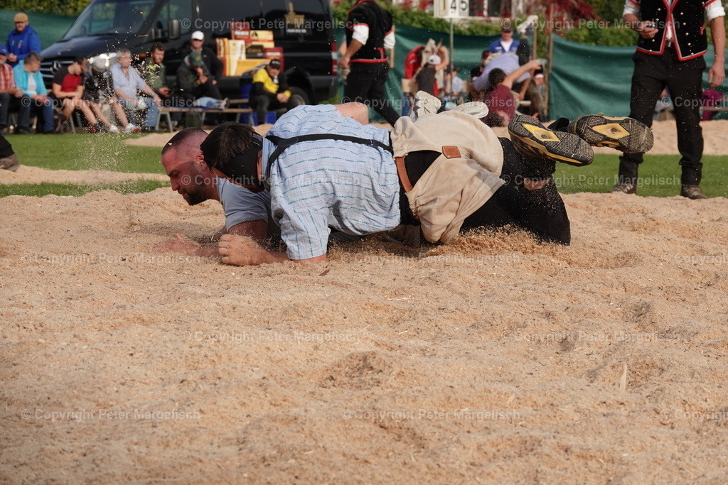 DSC08434 | Schwingen - Realisiert mit Pictrs.com