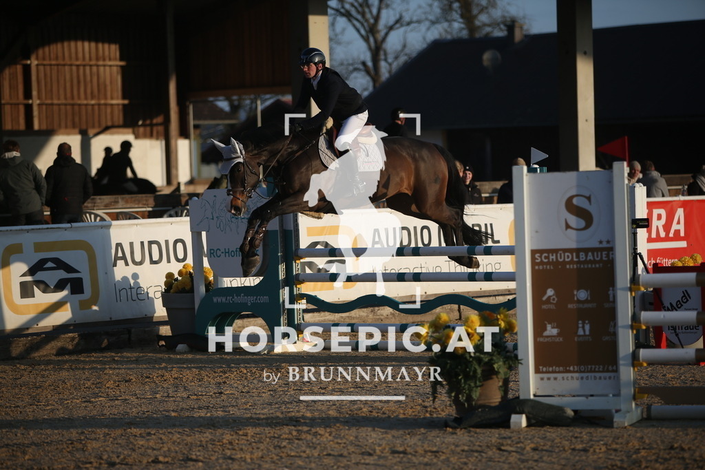 AS8V4337 | Willkommen bei Brunnmayr - Design & Fotografie – Ihrem Spezialisten für Reitturniere und Pferdeveranstaltungen in Oberösterreich, Salzburg und Bayern! Seit über 17 Jahren sind wir leidenschaftlich dabei.