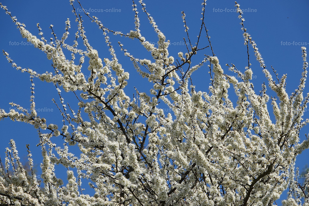 Springtime | Landscape photography, spectacular waves, Atlantic Ocean, Baltic Sea