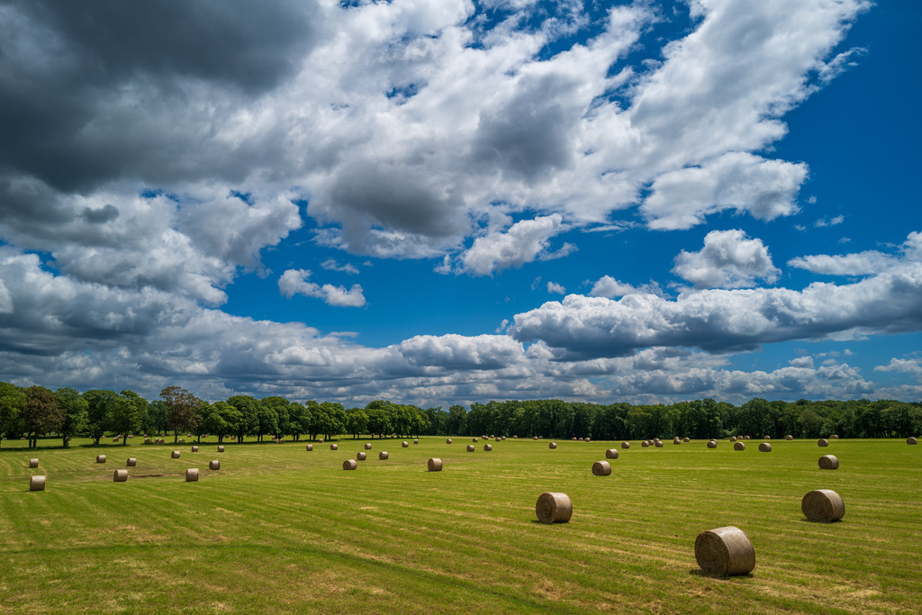 Strohballen | Gras maht auf der Wiese am Gut Hohenunkel bei Bruchhausen - Realisiert mit Pictrs.com