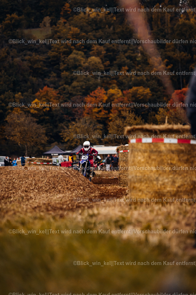 E68A9898 | blick_win_kel