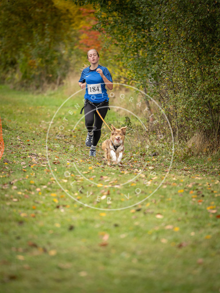 Pfotenfotografie_DV3A3608 | Hundefotografie, Tierfotograf, Pfotenfotografie, Fotoshooting Hund, Hunde Portrait, Hundesport, Hundeportraits, Heideshooting, Hunde, Sportfotograf, Hundefotograf, Turnierhundsport, THS,  - Realisiert mit Pictrs.com