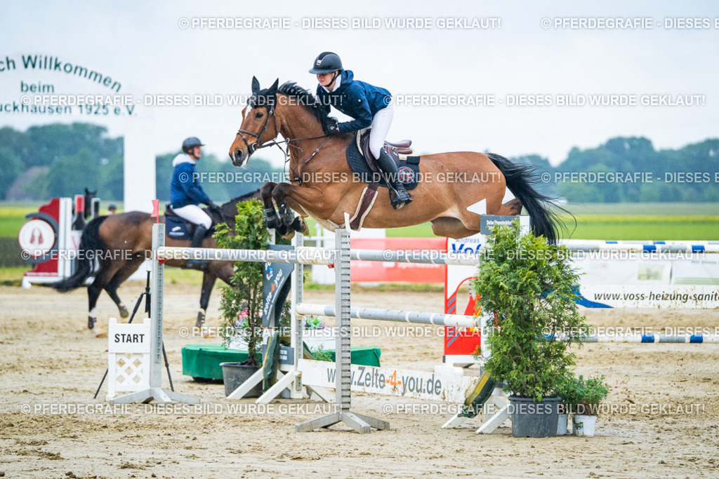 DSC00485 | Pferdegrafie