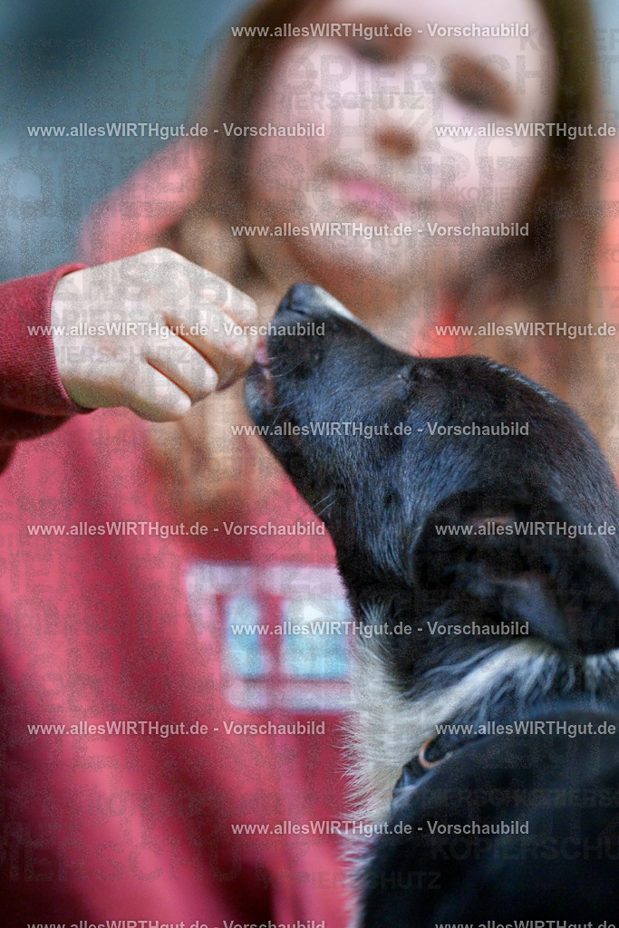 @allesWIRTHgut_Tierfotografie - www.allesWIRTHgut.de - 2604251312-7R503664 | Professionelle Tierfotografie in Mönchengladbach von Daniel Wirth (allesWIRTHgut). Liebevolle & natürliche Bilder von Hunden & Katzen für unvergessliche Erinnerungen.