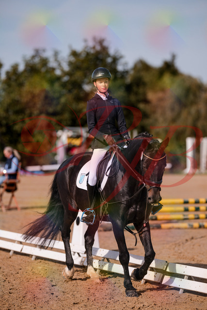2026_10_03_Siefer-Hof_115731_Z81_98071949 | Professionelle Reitsport-, Turnier- und Eventfotografie von Robert Broda. Galerien mit ausgewählten und bearbeiteten Bildern direkt online ansehen und bestellen.